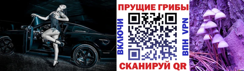 гидра маркетплейс  Котельниково  Галлюциногенные грибы прущие грибы  где купить наркоту 